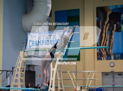 Thumbnail 2 in 3A Dive Championship photogallery.