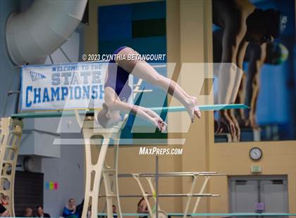 Thumbnail 3 in 3A Dive Championship photogallery.