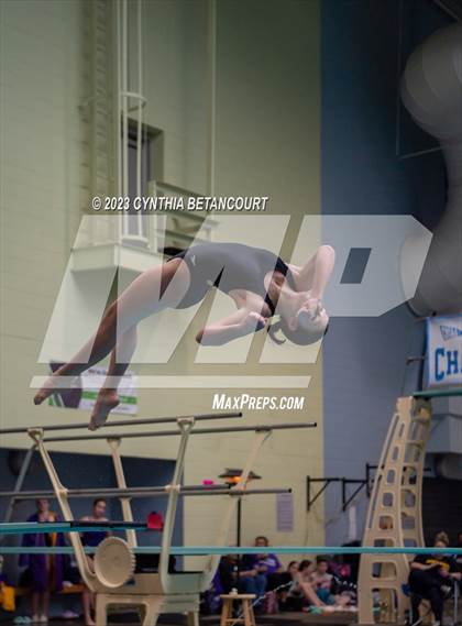 Thumbnail 2 in 3A Dive Championship photogallery.