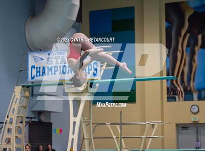 Thumbnail 2 in 3A Dive Championship photogallery.