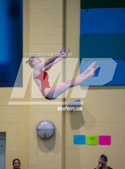 Thumbnail 1 in 3A Dive Championship photogallery.