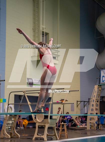 Thumbnail 1 in 3A Dive Championship photogallery.