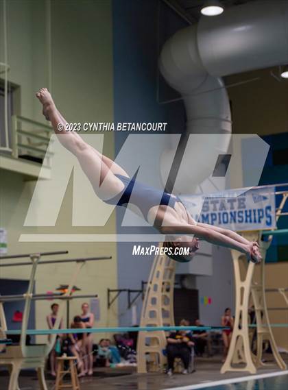 Thumbnail 1 in 3A Dive Championship photogallery.