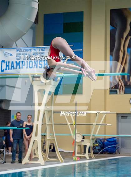 Thumbnail 1 in 3A Dive Championship photogallery.