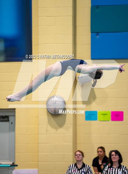 Thumbnail 2 in 3A Dive Championship photogallery.