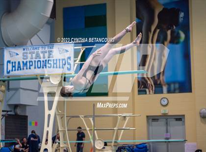 Thumbnail 3 in 3A Dive Championship photogallery.