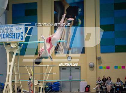 Thumbnail 1 in 3A Dive Championship photogallery.
