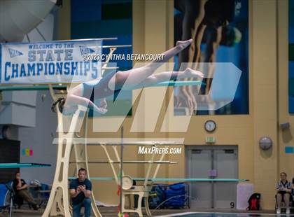 Thumbnail 1 in 3A Dive Championship photogallery.