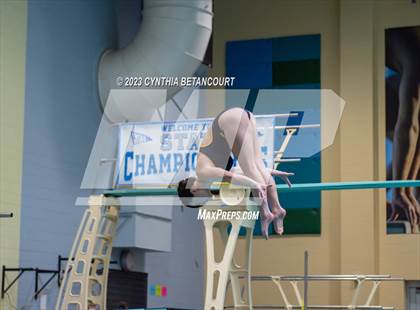 Thumbnail 3 in 3A Dive Championship photogallery.