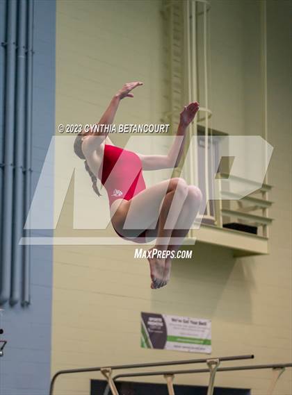 Thumbnail 3 in 3A Dive Championship photogallery.