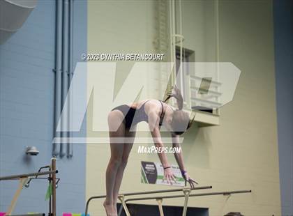 Thumbnail 2 in 3A Dive Championship photogallery.
