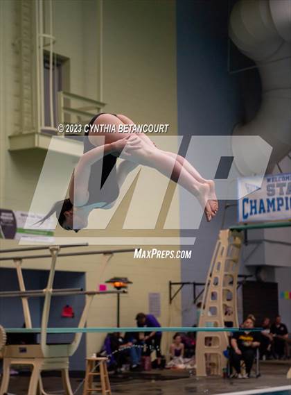 Thumbnail 1 in 3A Dive Championship photogallery.