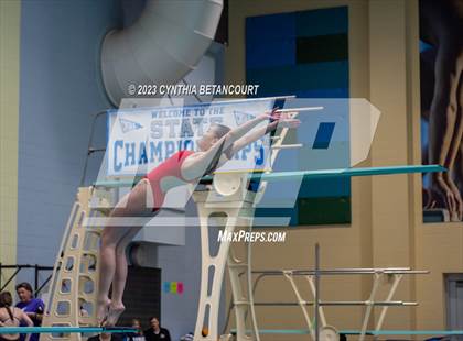 Thumbnail 2 in 3A Dive Championship photogallery.