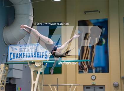 Thumbnail 2 in 3A Dive Championship photogallery.