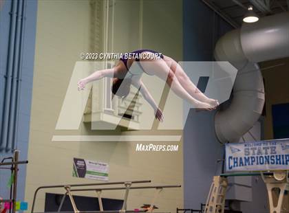 Thumbnail 1 in 3A Dive Championship photogallery.