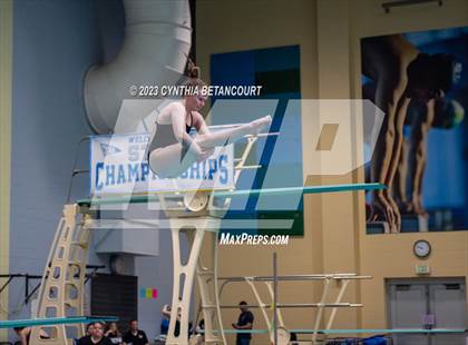 Thumbnail 1 in 3A Dive Championship photogallery.