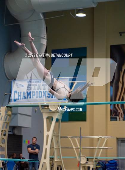 Thumbnail 3 in 3A Dive Championship photogallery.