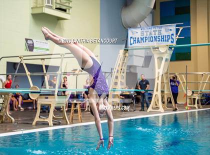 Thumbnail 1 in 3A Dive Championship photogallery.