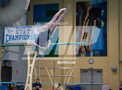 Thumbnail 3 in 3A Dive Championship photogallery.