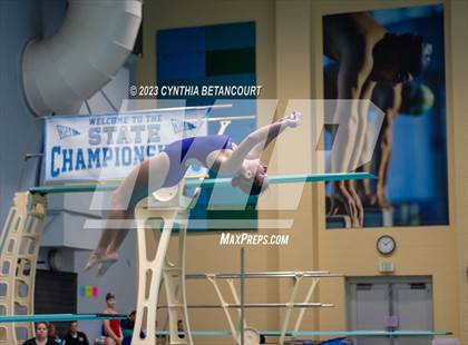 Thumbnail 1 in 3A Dive Championship photogallery.