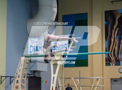 Thumbnail 2 in 3A Dive Championship photogallery.