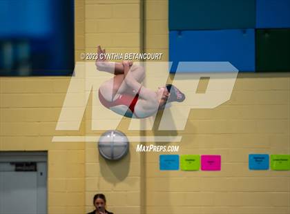 Thumbnail 1 in 3A Dive Championship photogallery.