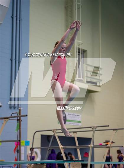 Thumbnail 3 in 3A Dive Championship photogallery.