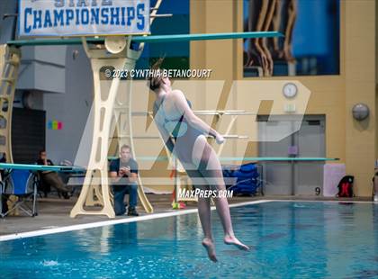 Thumbnail 3 in 3A Dive Championship photogallery.