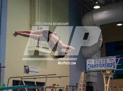 Thumbnail 1 in 3A Dive Championship photogallery.