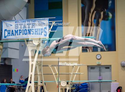 Thumbnail 3 in 3A Dive Championship photogallery.