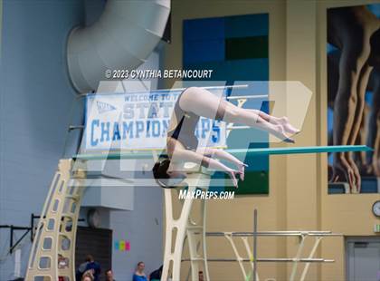 Thumbnail 1 in 3A Dive Championship photogallery.