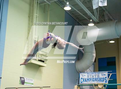 Thumbnail 3 in 3A Dive Championship photogallery.