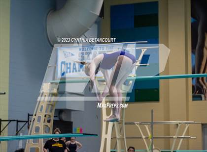 Thumbnail 3 in 3A Dive Championship photogallery.