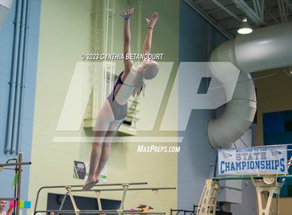 Thumbnail 3 in 3A Dive Championship photogallery.