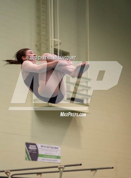 Thumbnail 1 in 3A Dive Championship photogallery.