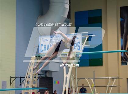 Thumbnail 2 in 3A Dive Championship photogallery.