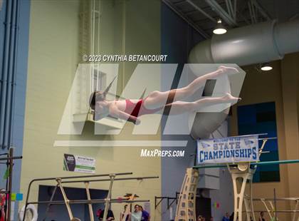 Thumbnail 3 in 3A Dive Championship photogallery.