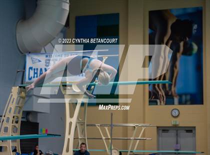 Thumbnail 3 in 3A Dive Championship photogallery.
