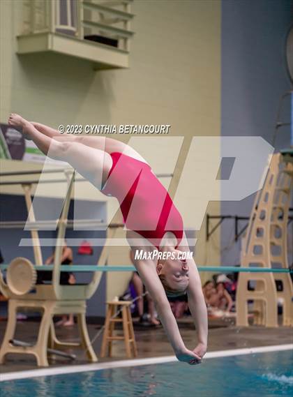 Thumbnail 1 in 3A Dive Championship photogallery.