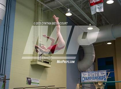 Thumbnail 1 in 3A Dive Championship photogallery.