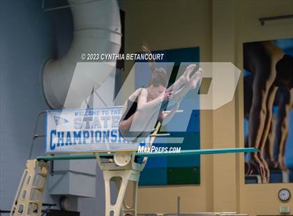 Thumbnail 1 in 3A Dive Championship photogallery.