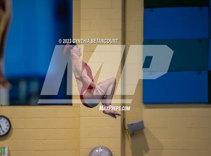 Thumbnail 2 in 3A Dive Championship photogallery.