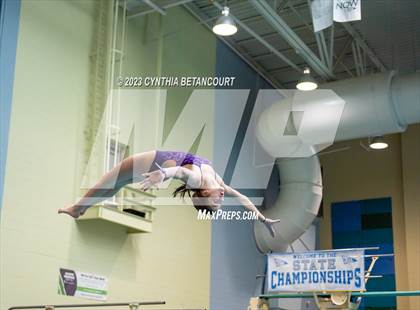 Thumbnail 1 in 3A Dive Championship photogallery.