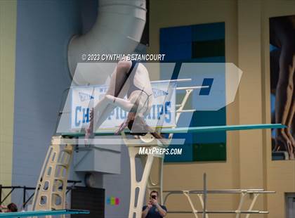 Thumbnail 2 in 3A Dive Championship photogallery.
