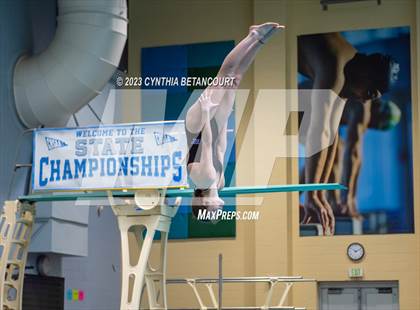 Thumbnail 1 in 3A Dive Championship photogallery.