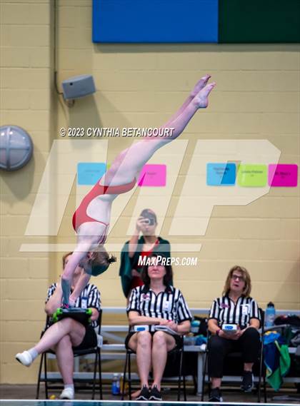 Thumbnail 2 in 3A Dive Championship photogallery.