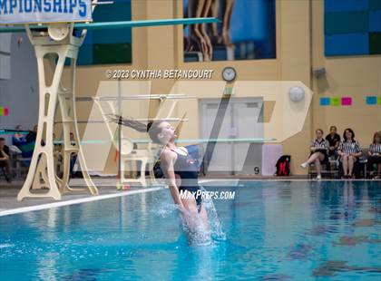 Thumbnail 2 in 3A Dive Championship photogallery.