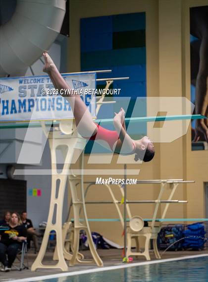 Thumbnail 3 in 3A Dive Championship photogallery.