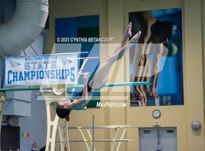 Thumbnail 1 in 3A Dive Championship photogallery.