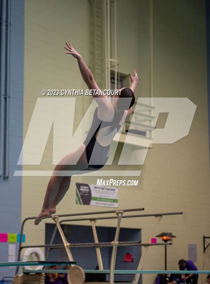 Thumbnail 2 in 3A Dive Championship photogallery.